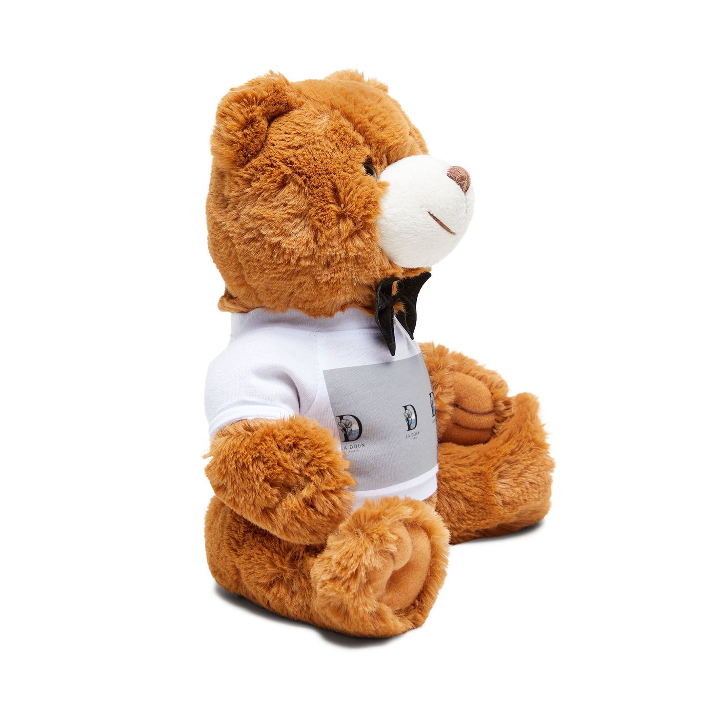 Teddy Bear with T-Shirt