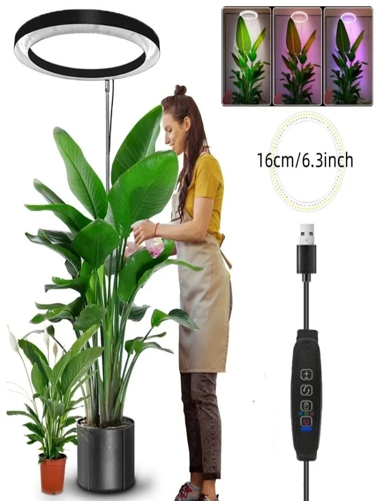 165cm Height Adjustable LED Ring Grow Lights Indoor Plants Full Spectrum Large Plant Light for Indoor Plants USB Growing Lamp