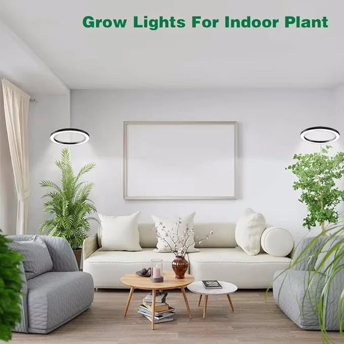 165cm Height Adjustable LED Ring Grow Lights Indoor Plants Full Spectrum Large Plant Light for Indoor Plants USB Growing Lamp